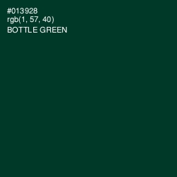 #013928 - Bottle Green Color Image