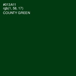 #013A11 - County Green Color Image