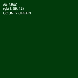 #013B0C - County Green Color Image