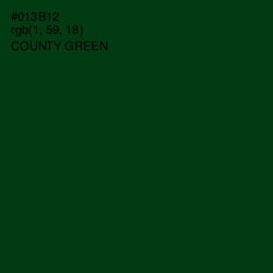 #013B12 - County Green Color Image