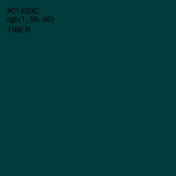 #013B3C - Tiber Color Image