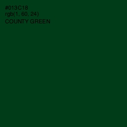 #013C18 - County Green Color Image