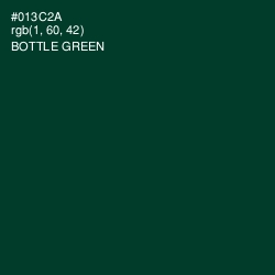 #013C2A - Bottle Green Color Image