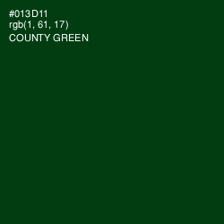 #013D11 - County Green Color Image