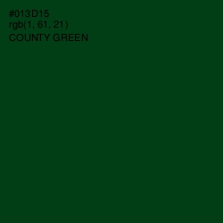 #013D15 - County Green Color Image