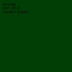 #013E06 - County Green Color Image