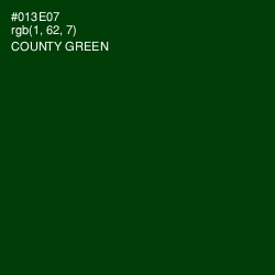 #013E07 - County Green Color Image