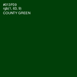 #013F09 - County Green Color Image