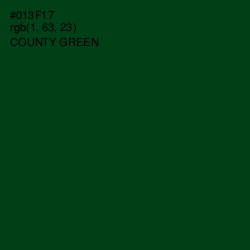 #013F17 - County Green Color Image