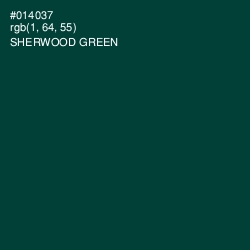 #014037 - Sherwood Green Color Image