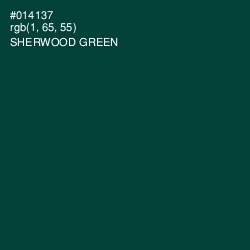 #014137 - Sherwood Green Color Image