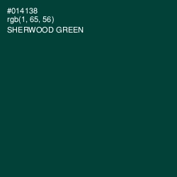 #014138 - Sherwood Green Color Image