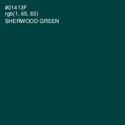 #01413F - Sherwood Green Color Image