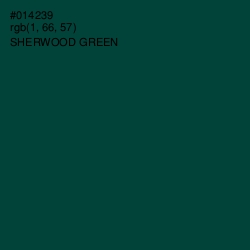 #014239 - Sherwood Green Color Image