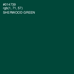 #014739 - Sherwood Green Color Image