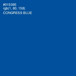 #01509E - Congress Blue Color Image