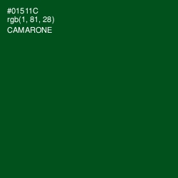 #01511C - Camarone Color Image