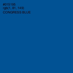 #015195 - Congress Blue Color Image