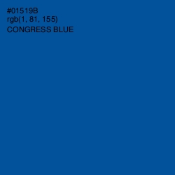 #01519B - Congress Blue Color Image