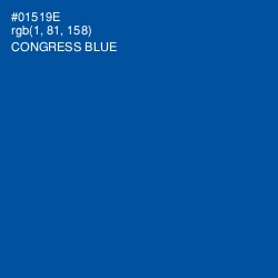 #01519E - Congress Blue Color Image