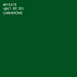 #01521E - Camarone Color Image