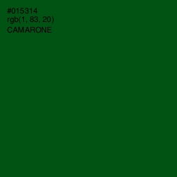 #015314 - Camarone Color Image