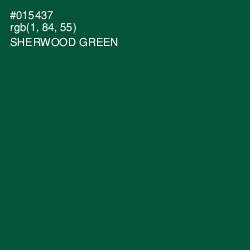 #015437 - Sherwood Green Color Image