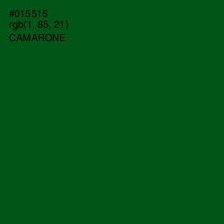 #015515 - Camarone Color Image