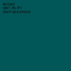 #015657 - Deep Sea Green Color Image