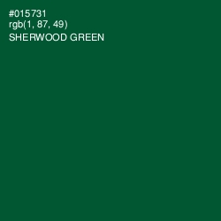 #015731 - Sherwood Green Color Image