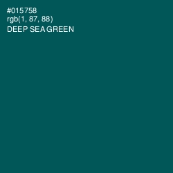 #015758 - Deep Sea Green Color Image