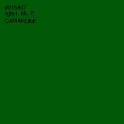 #015807 - Camarone Color Image