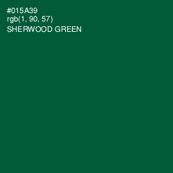 #015A39 - Sherwood Green Color Image