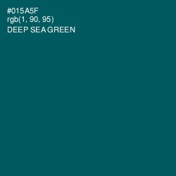 #015A5F - Deep Sea Green Color Image