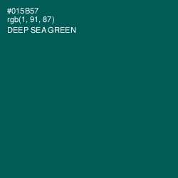 #015B57 - Deep Sea Green Color Image