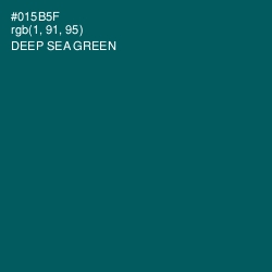 #015B5F - Deep Sea Green Color Image