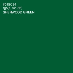 #015C34 - Sherwood Green Color Image