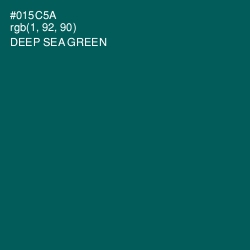 #015C5A - Deep Sea Green Color Image