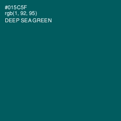 #015C5F - Deep Sea Green Color Image