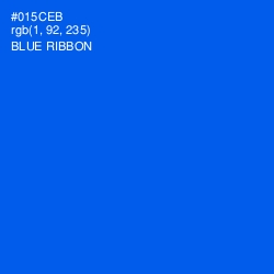 #015CEB - Blue Ribbon Color Image