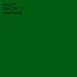 #015D11 - Camarone Color Image