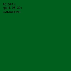 #015F1E - Camarone Color Image