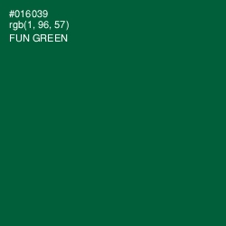 #016039 - Fun Green Color Image