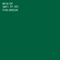 #01613F - Fun Green Color Image