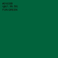 #01633B - Fun Green Color Image