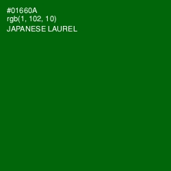 #01660A - Japanese Laurel Color Image