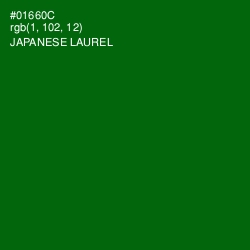 #01660C - Japanese Laurel Color Image