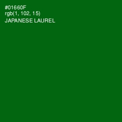 #01660F - Japanese Laurel Color Image