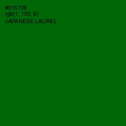 #016706 - Japanese Laurel Color Image