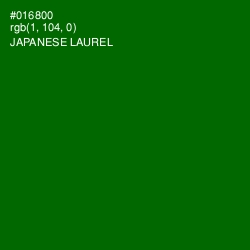 #016800 - Japanese Laurel Color Image